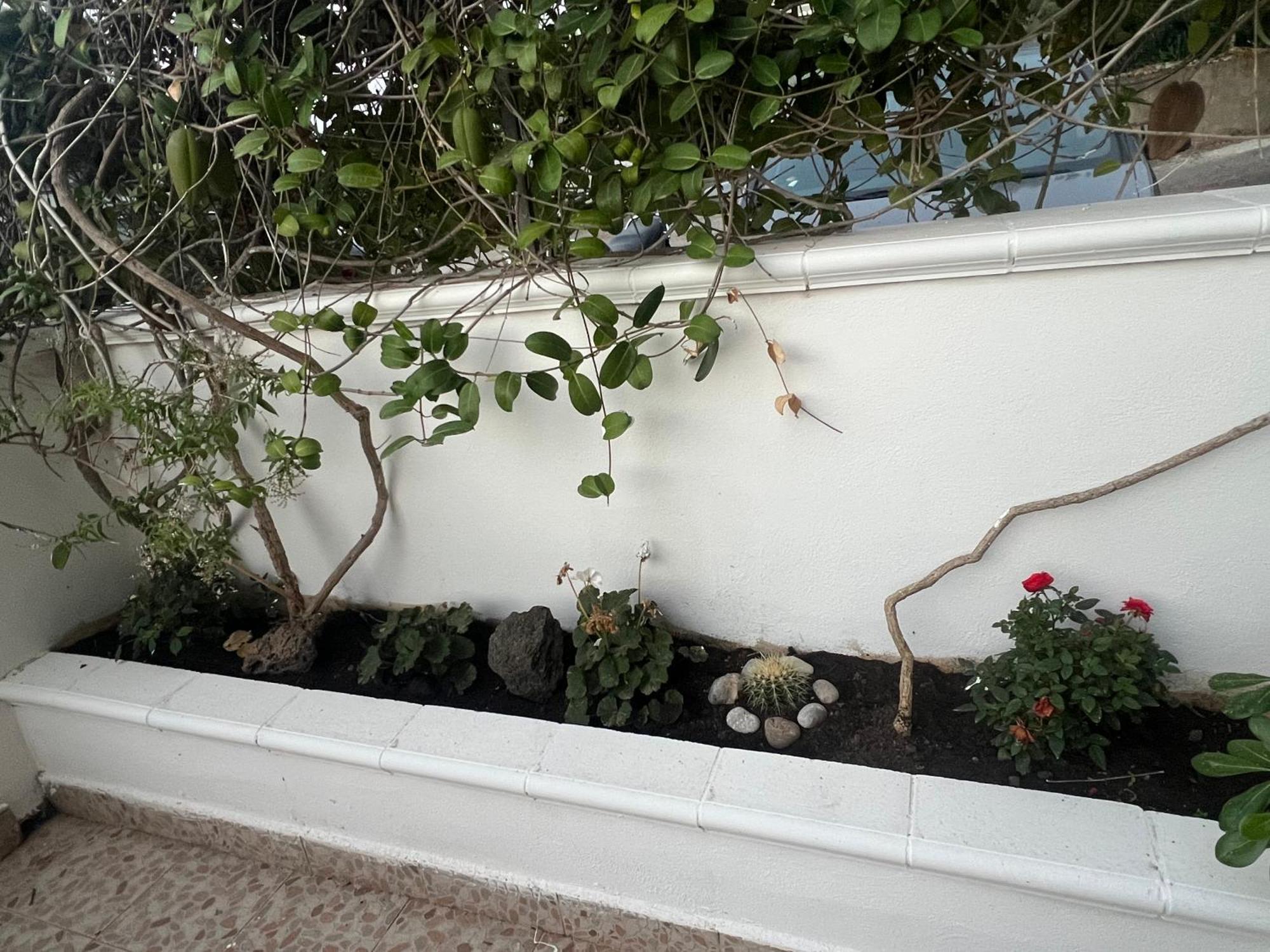 Willa La Casa Dei Ciocio Cefalù Zewnętrze zdjęcie