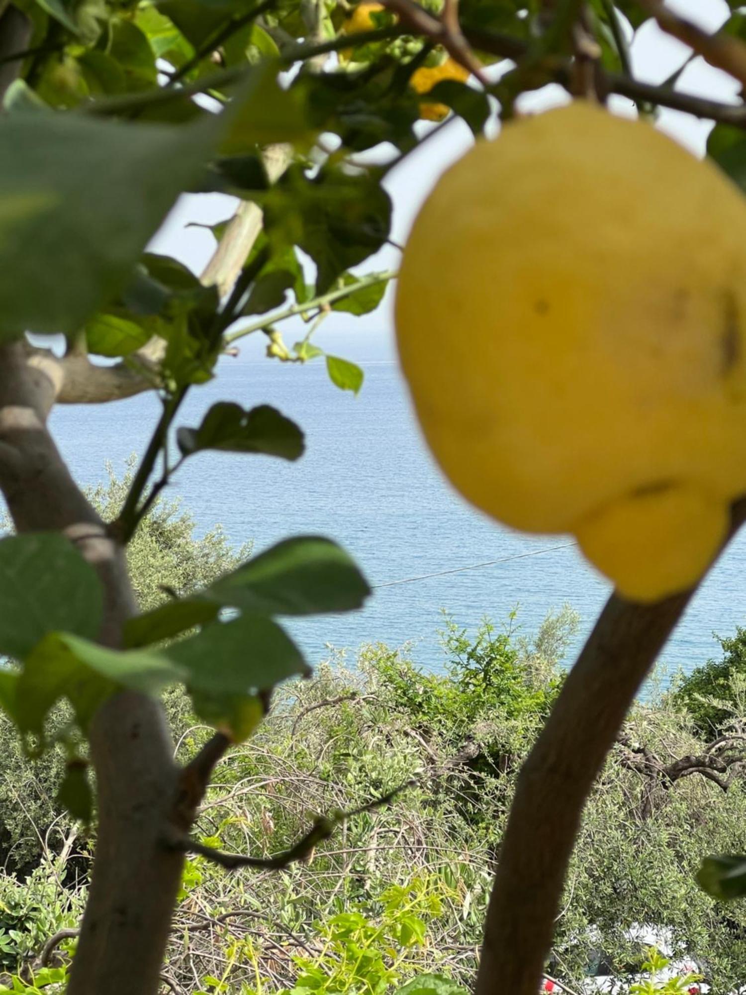 Willa La Casa Dei Ciocio Cefalù Zewnętrze zdjęcie